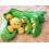 Creative Peas Doll Plush Toy 25cm/9.8inch