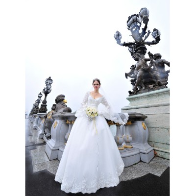 http://www.toyhope.com/20046-thickbox/mtf-v-neck-elegant-a-line-train-wedding-dress-with-sleeves-s1293.jpg