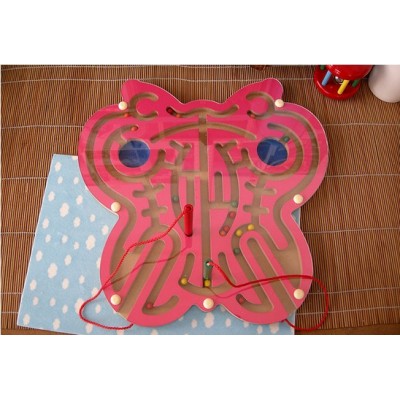 http://www.toyhope.com/21446-thickbox/children-educational-wooden-scarab-magnetic-maze.jpg