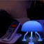 Creative Designed Jellyfish Shaped USB Battery 2 in 1 LED Night Light