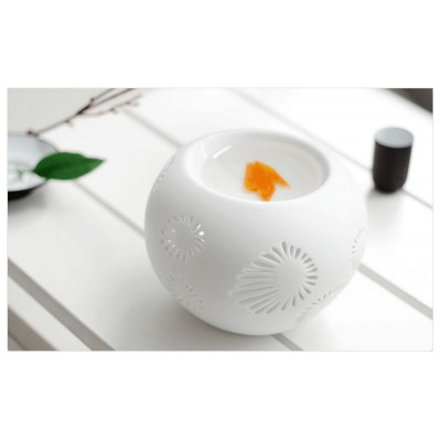 http://www.toyhope.com/54211-thickbox/delicate-hollow-frosted-ceramic-furnace-essential-oil-l912.jpg