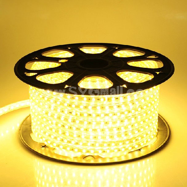 VOTORO LED Light String Rope Light 68 LED/5050 SMD 3.3Ft Waterproof