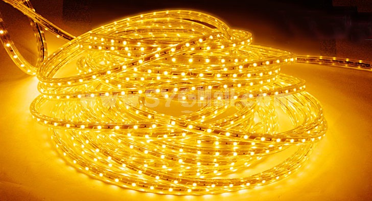 VOTORO LED Light String Rope Light 60 LED/3528 SMD 3.3Ft Waterproof