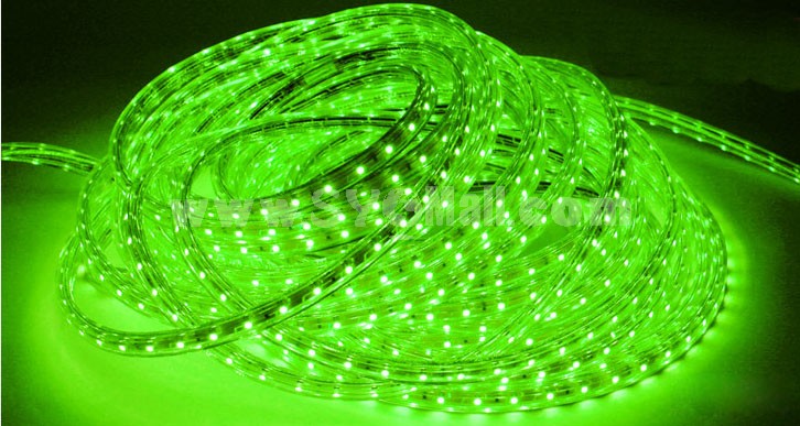 VOTORO LED Light String Rope Light 60 LED/3528 SMD 3.3Ft Waterproof