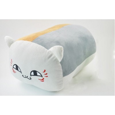 http://www.toyhope.com/62006-thickbox/cartoon-cat-style-30cm-12-pp-cotton-stuffed-pillow.jpg