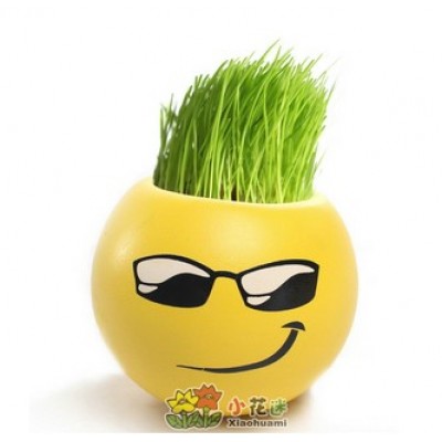 http://www.toyhope.com/63803-thickbox/diy-mini-green-plant-ceramic-stand-pattern-plant.jpg
