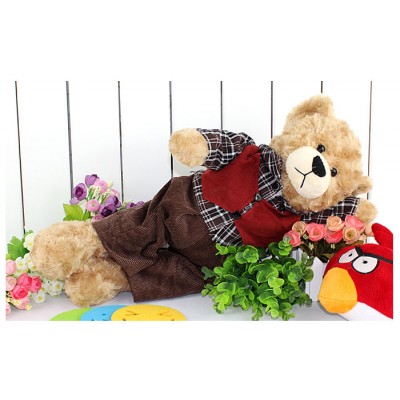 http://www.toyhope.com/65539-thickbox/leisure-high-quality-plush-toy-red-coat-teddy.jpg