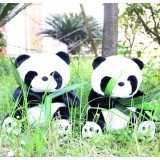 Cute & Novel Panda Plush Toy 25*20CM