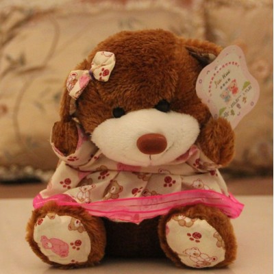 http://www.toyhope.com/68613-thickbox/lovely-teddy-bear-12s-record-function-plush-toy-1813cm.jpg