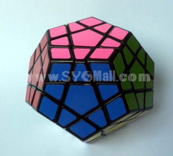 Shengshou Megaminx Puzzle Speed Cube