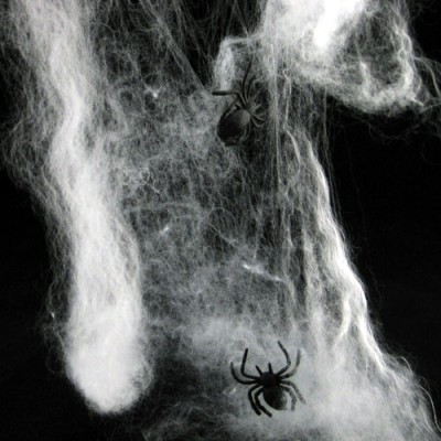 http://www.toyhope.com/73108-thickbox/creative-holloween-colored-spider-cotton-5pcs.jpg