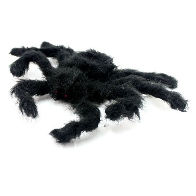 http://www.toyhope.com/73116-thickbox/creative-holloween-lint-spider-75cm.jpg