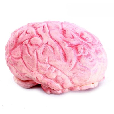 http://www.toyhope.com/73326-thickbox/creative-holloween-trick-toy-rubber-simulation-brain.jpg