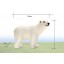 Land Animals Imitate Toys Stimulation Models -- White Bear S14659