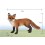 Land Animals Imitate Toys Stimulation Models -- Fox S14648