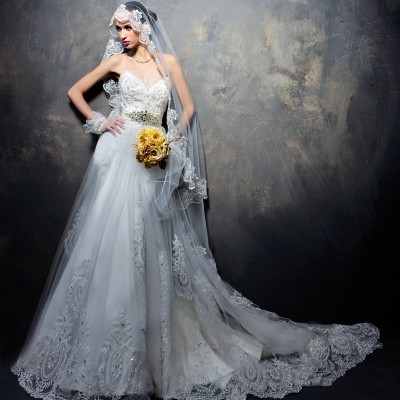 https://www.toyhope.com/20081-thickbox/mtf-strapless-v-neck-lace-a-line-train-wedding-dress-s1261.jpg