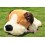Cute & Novel Cartoon Sleepy Puppy PP Cotton Stuffed/Plush Toy 40CM Tall